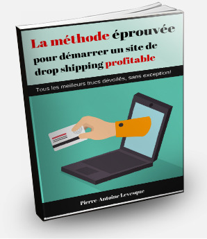 guide drop shipping e-commerce par Pierre-Antoine Levesque